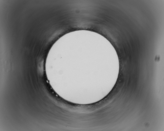 X0000100340020200807031309