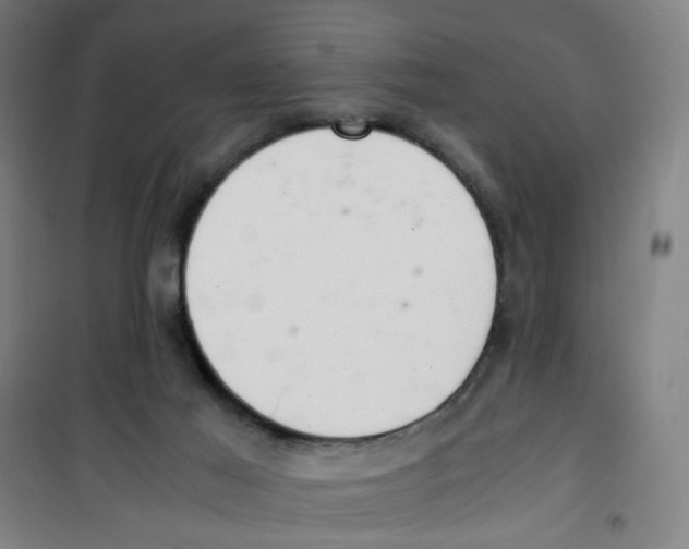 X0000100340021200807031309