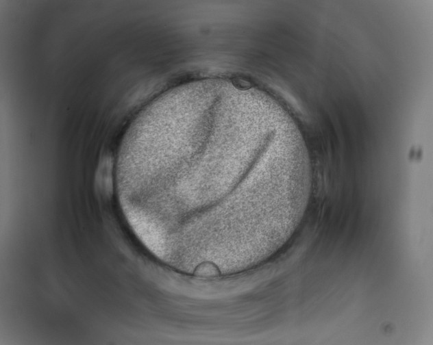 X0000100340022200807031309