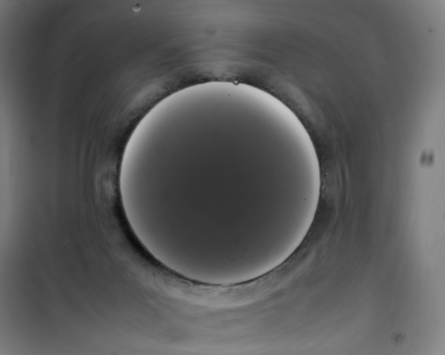 X0000100340023200807031309