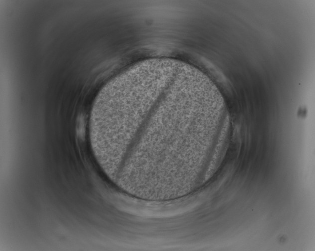 X0000100340026200807031309