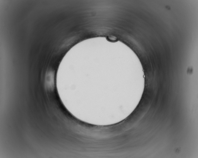 X0000100340028200807031309