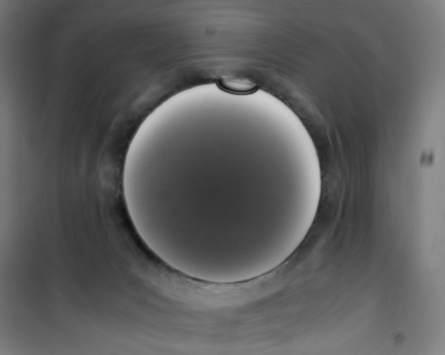 X0000100340031200807031309