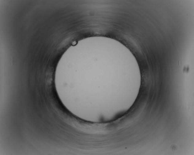 X0000100340032200807031309