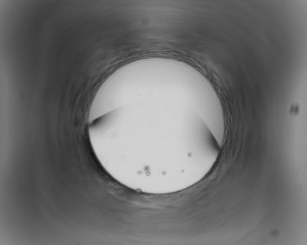 X0000100340033200807031309