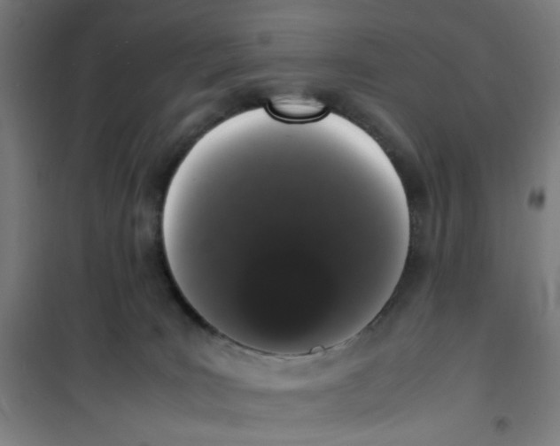 X0000100340035200807031309