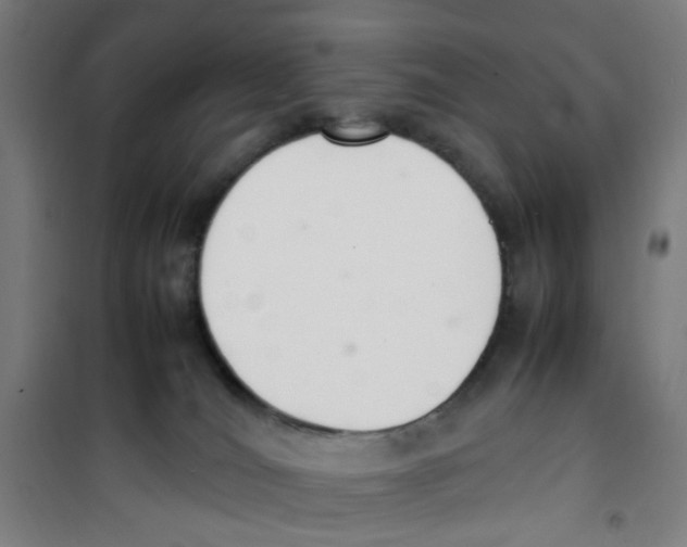 X0000100340036200807031309