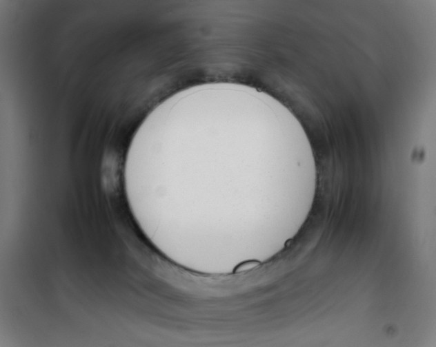 X0000100340038200807031309