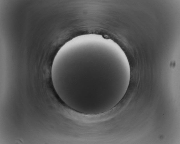 X0000100340039200807031309