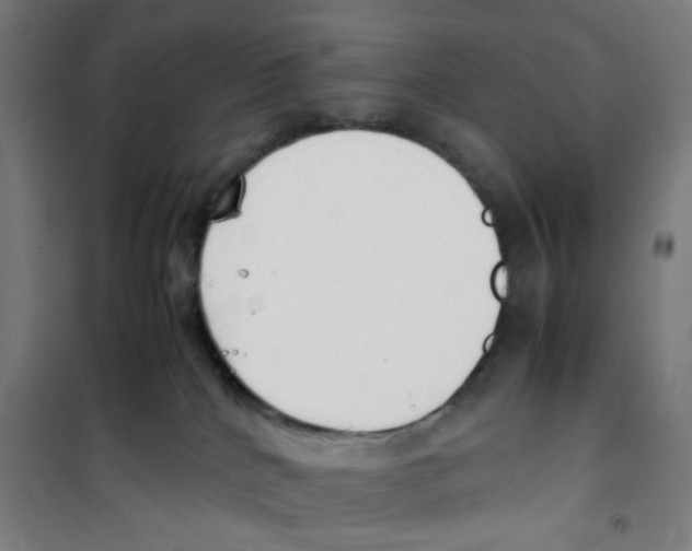 X0000100340040200807031309