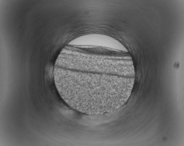 X0000100340041200807031309