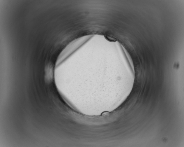 X0000100340042200807031309