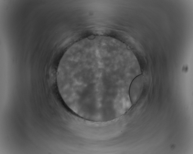 X0000100340043200807031309