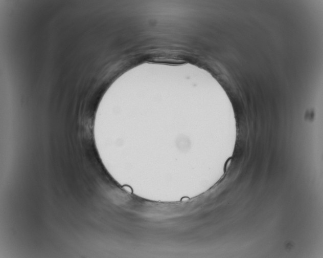 X0000100340045200807031308