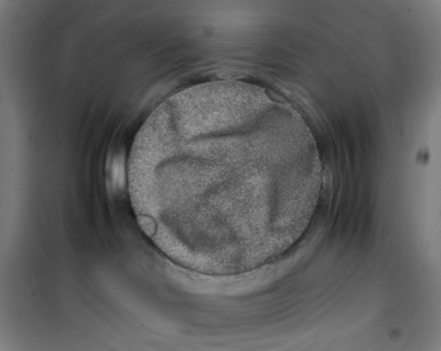 X0000100340046200807031308