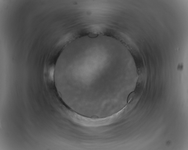 X0000100340047200807031308