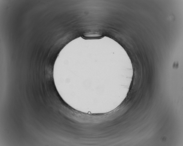 X0000100340048200807031308