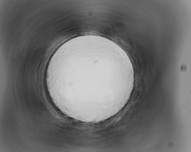 X0000100340049200807031308