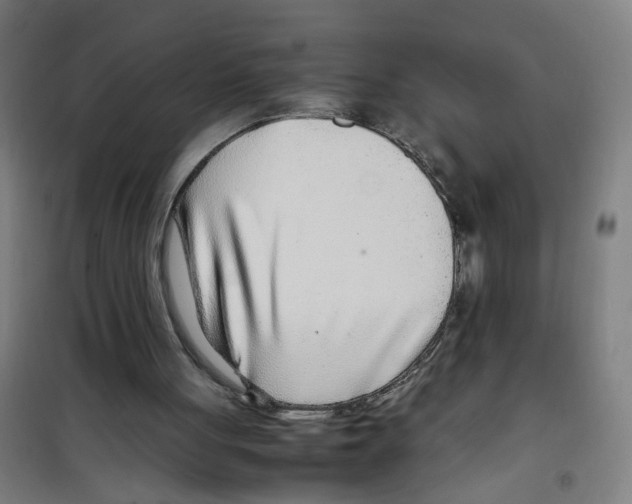 X0000100340051200807031308