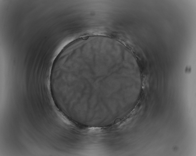 X0000100340052200807031308