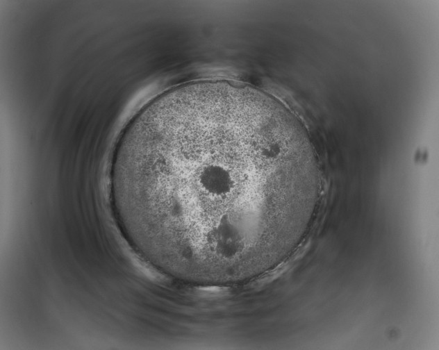 X0000100340053200807031308