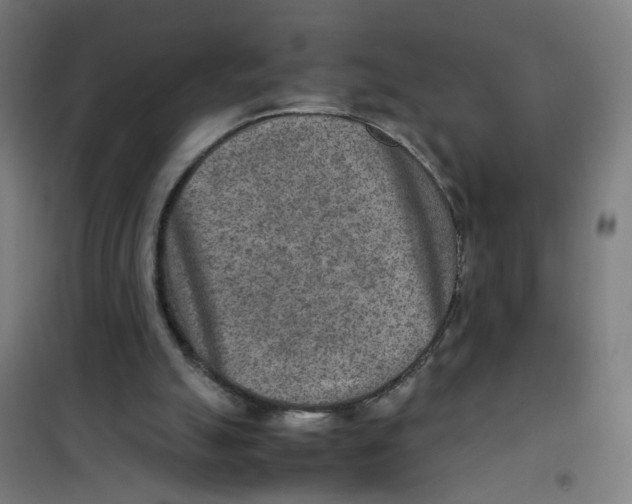 X0000100340055200807031308