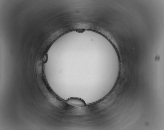 X0000100340057200807031308