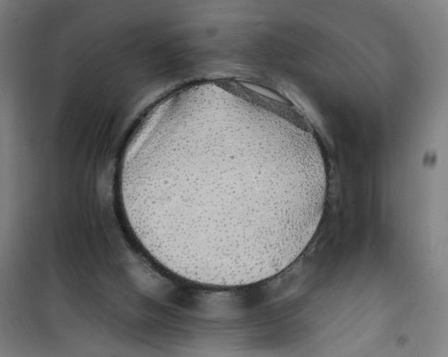 X0000100340058200807031308