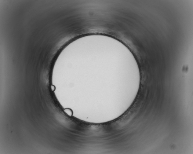 X0000100340060200807031308