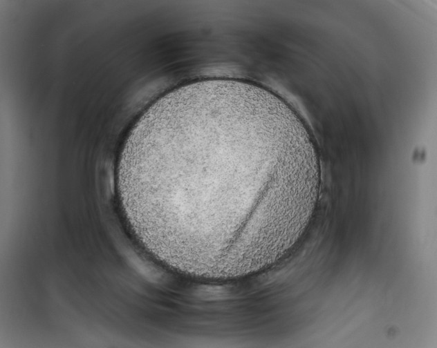 X0000100340061200807031308