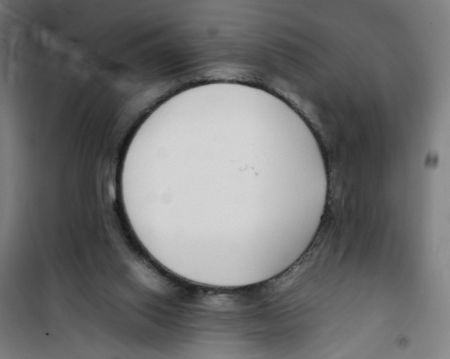 X0000100340062200807031308