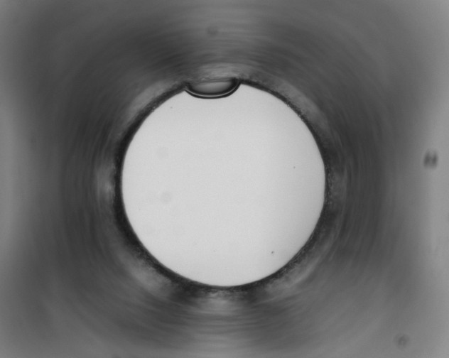 X0000100340064200807031308