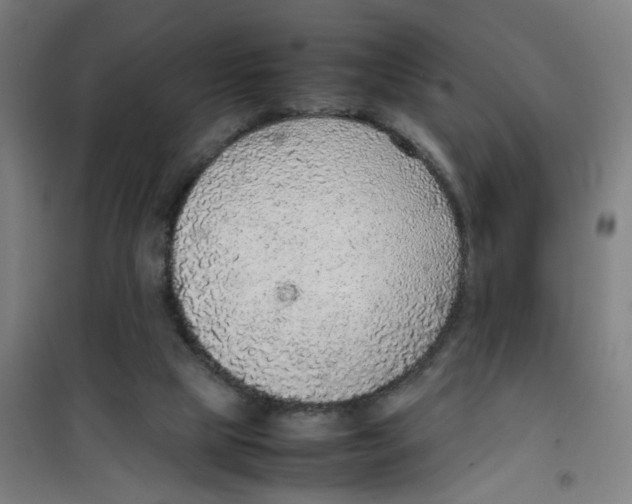 X0000100340065200807031308