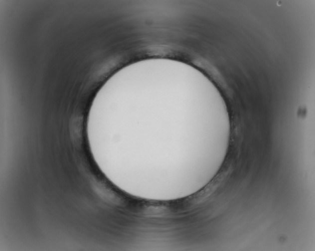 X0000100340066200807031308