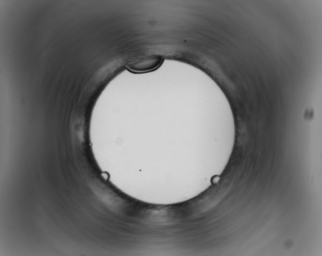 X0000100340068200807031308