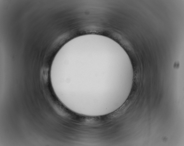 X0000100340070200807031308