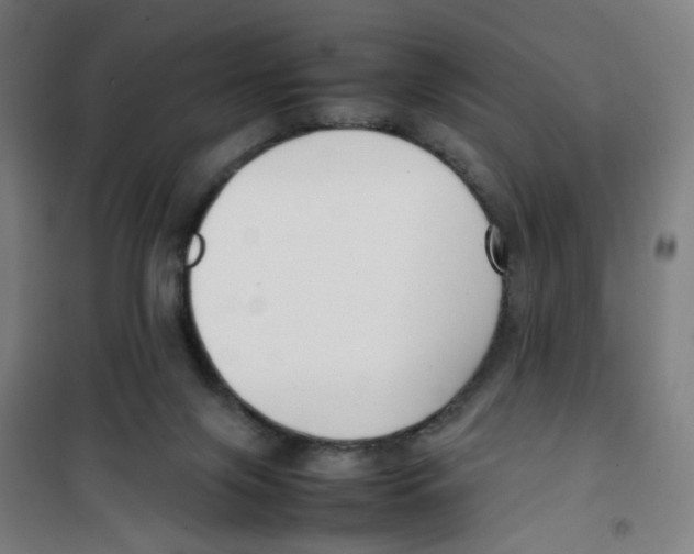 X0000100340071200807031308