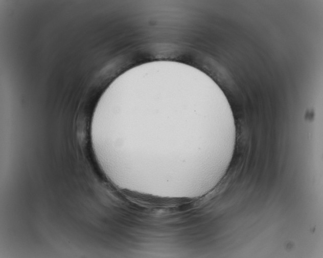 X0000100340074200807031308