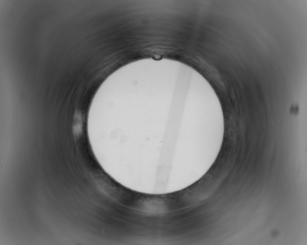 X0000100340075200807031308