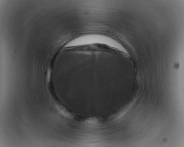 X0000100340076200807031308