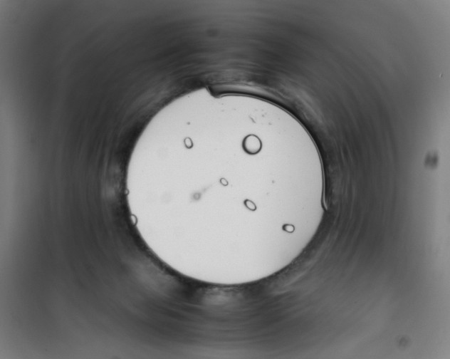 X0000100340077200807031308