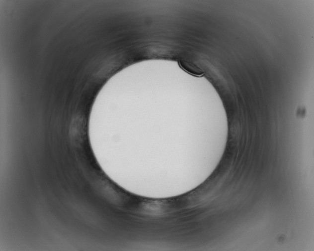 X0000100340079200807031308