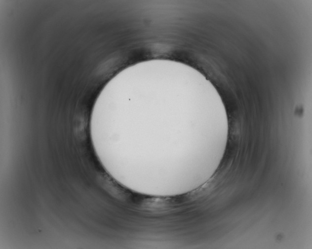 X0000100340082200807031308