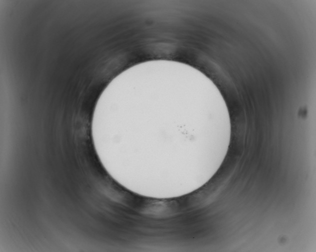 X0000100340083200807031308