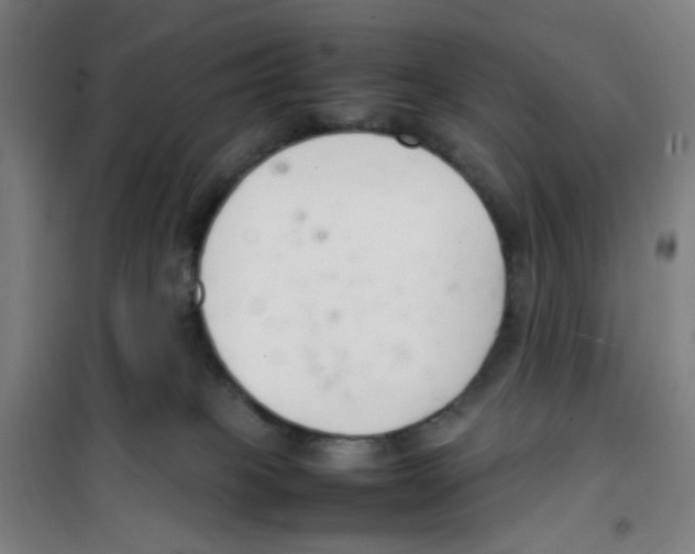 X0000100340085200807031308