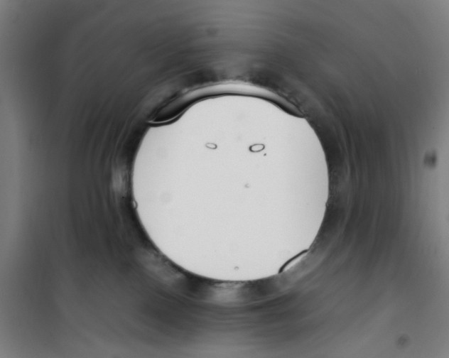 X0000100340090200807031308