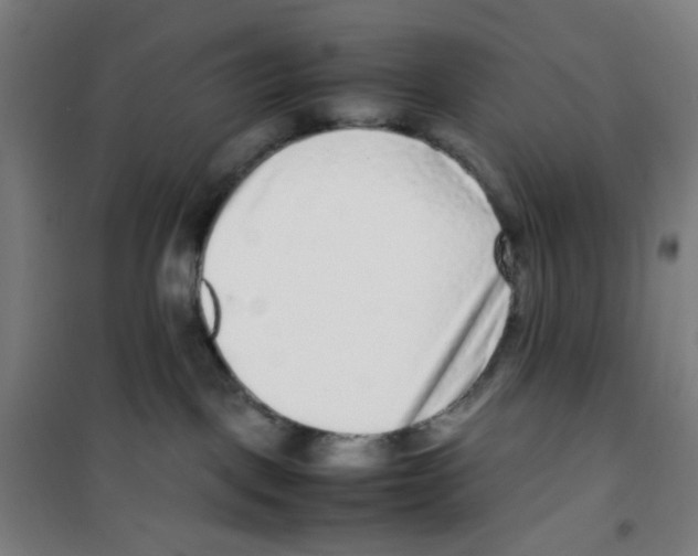 X0000100340093200807031308