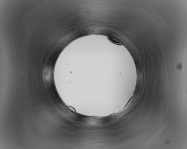 X0000100340094200807031308