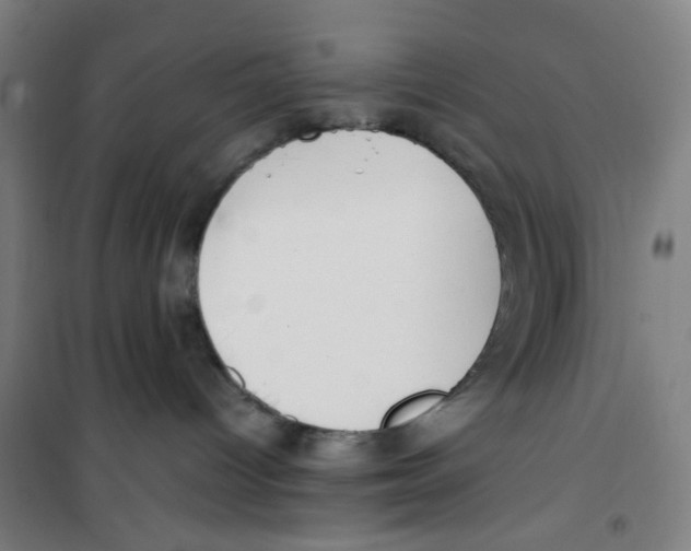 X0000100340096200807031308