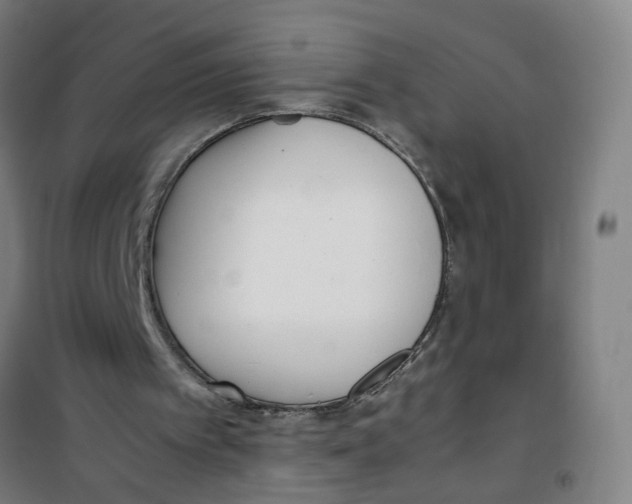 X0000100340097200807031308